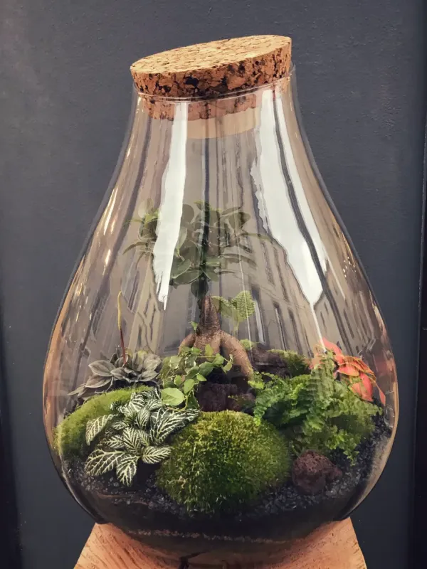 COOBER Terrarium tropical fermé taille M - 59€