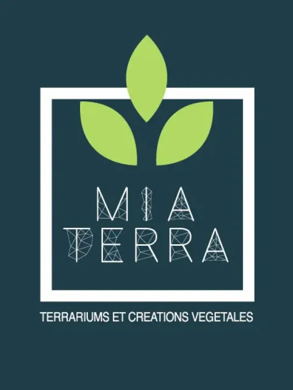 Kit Terrarium