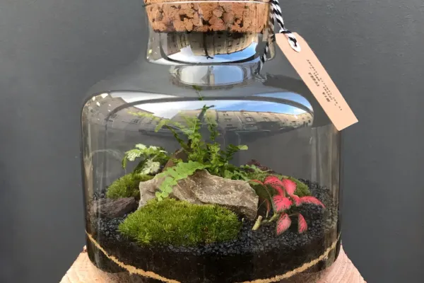 MURRAY Terrarium tropical fermé taille M - 65€