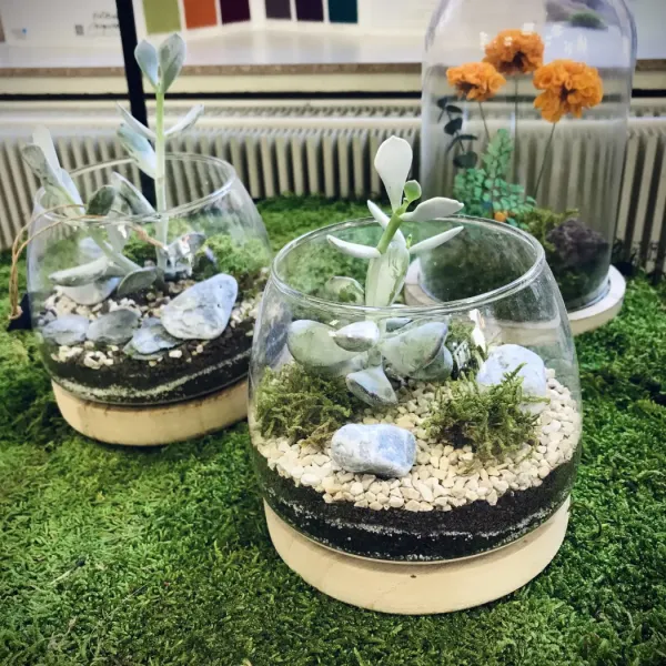 NAMADGI terrarium ouvert taille S