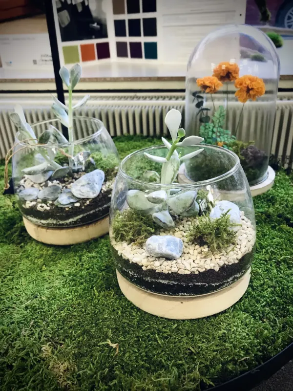 NAMADGI terrarium ouvert taille S