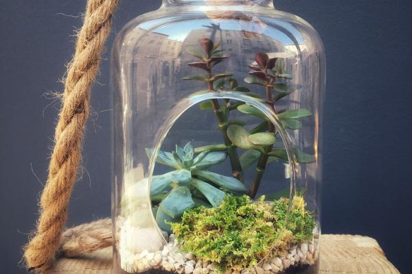 NOOSA Terrarium suspension ouvert taille S - 39€