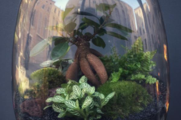 PERTH Terrarium tropical fermé taille L - 79€